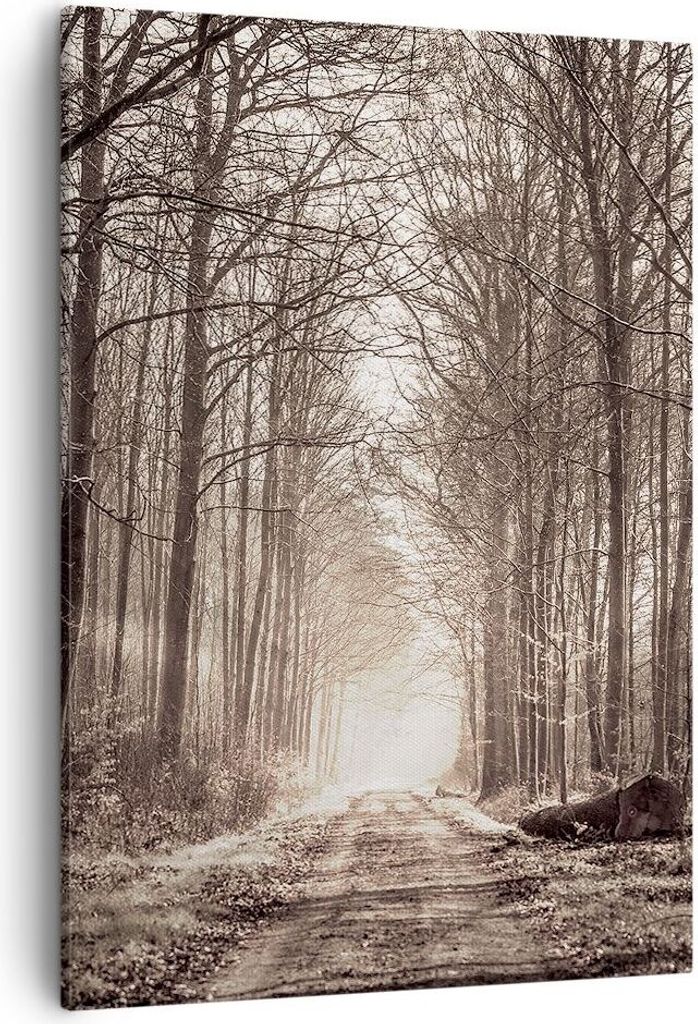 Bild auf Leinwand - Leinwandbild - Einteilig - Wald Straße Baum - 50x70cm - Wand Bild - Wanddeko - Wandbilder - Leinwanddruck - Kunstdruck - Wandd...