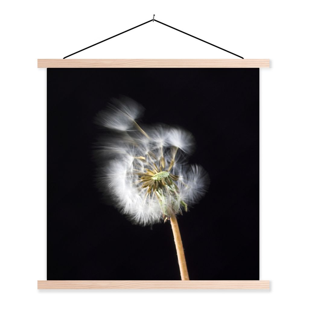 MuchoWow Textilposter Eine Pollenblume auf schwarzem Hintergrund 120x120 cm mit holzfarbenen Rahmen - Textil-Poster