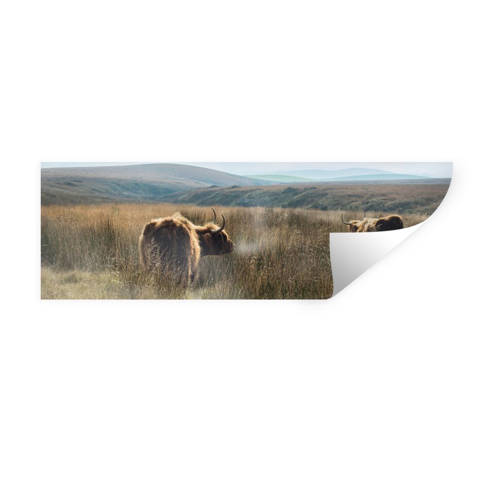 MuchoWow Wandtattoo Wandsticker Wandaufkleber Schottische Highlander - Nebel - Gras 90x30 cm Selbstklebend und Repositionierbar - Selbstklebend -...
