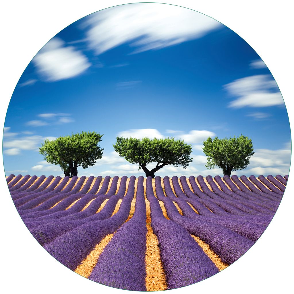 Wallario Premium Glasbild, freischwebende Optik, kräftige Farben, rund 50cm Durchmesser, Motiv Abstraktes lila Blumenfeld mit Lavendel