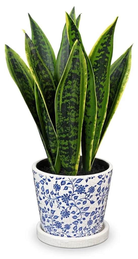 Sansevieria Artificielle Vert Bleu 41 cm Pot Céramique Qualité