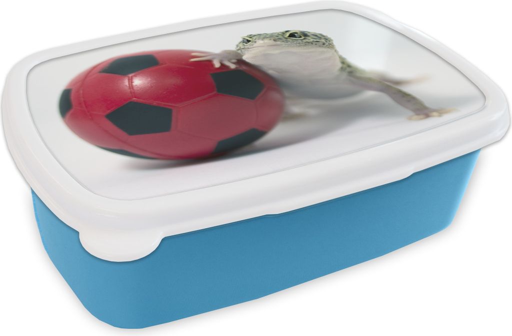 KitchenYeah Lunchbox Brotzeit Brotdose 17x11 cm Gecko mit einem Ball Kinder Brotzeitdose - Lunch - Kunststoff - Brotbüchse - Sandwichbox - Lunc...