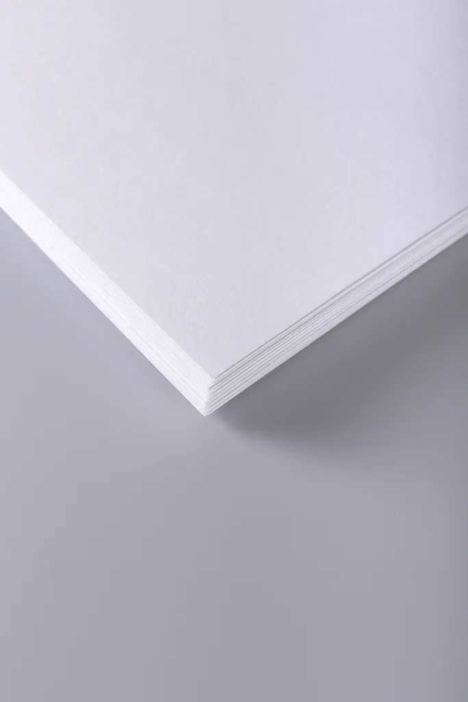 Super Prezzo Clairefontaine Croquis A4 250g: Risma 250 Fogli Bianco