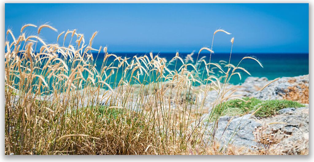 Tulup Leinwand-Bilder 120x60 Wandbild Canvas Kunstdruck Strand Landschaft