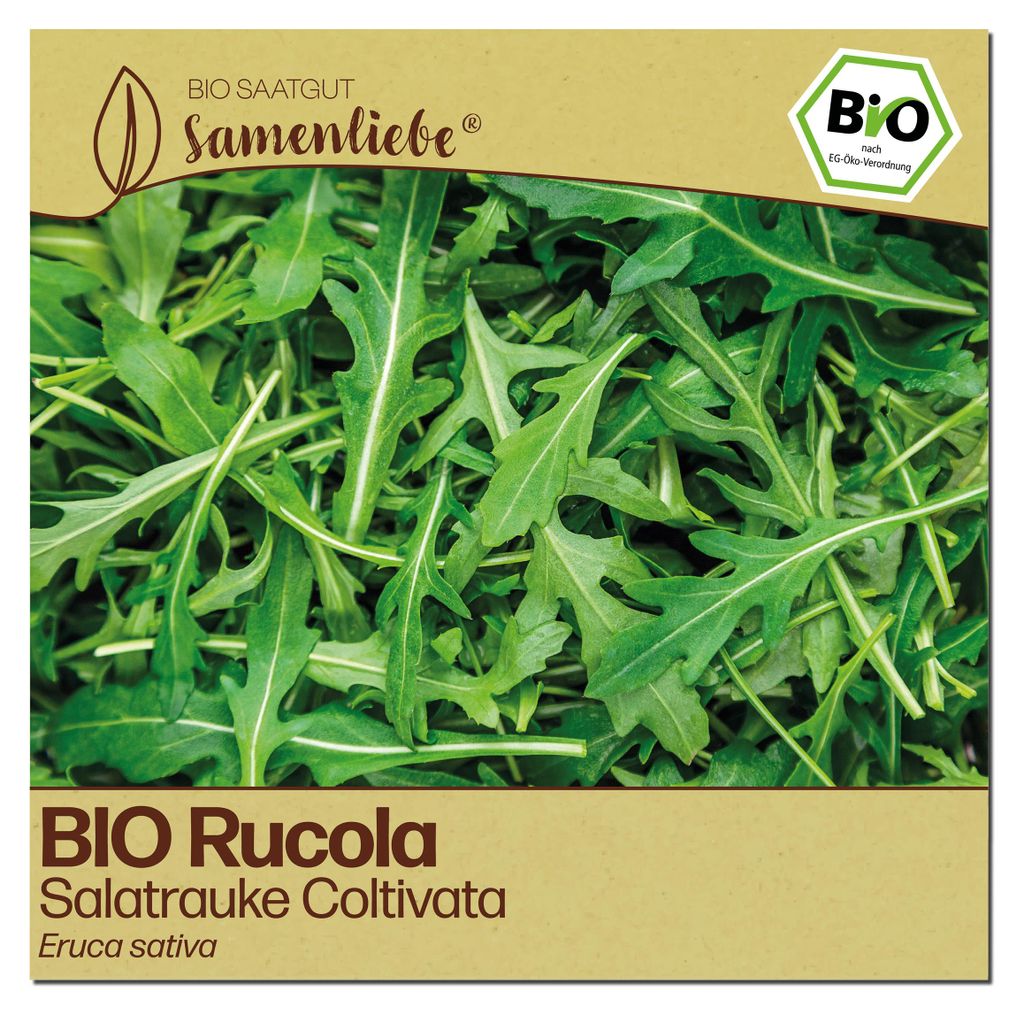 Samenliebe  Rucola Samen | Coltivata - mild - samenfestes  Produktbild 