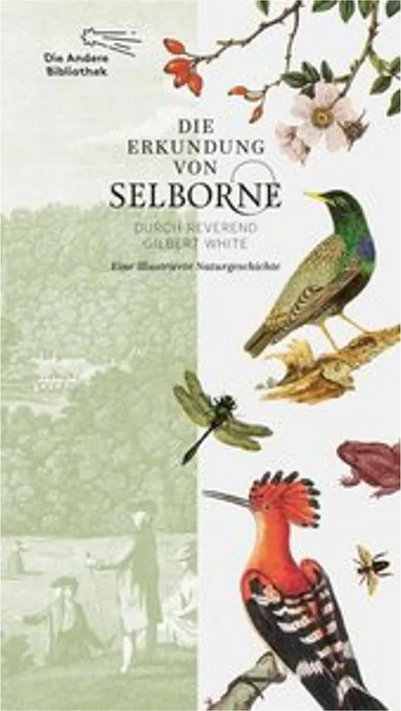 Exploration de Selborne de Gilbert White - Récit Ornithologique Illustré