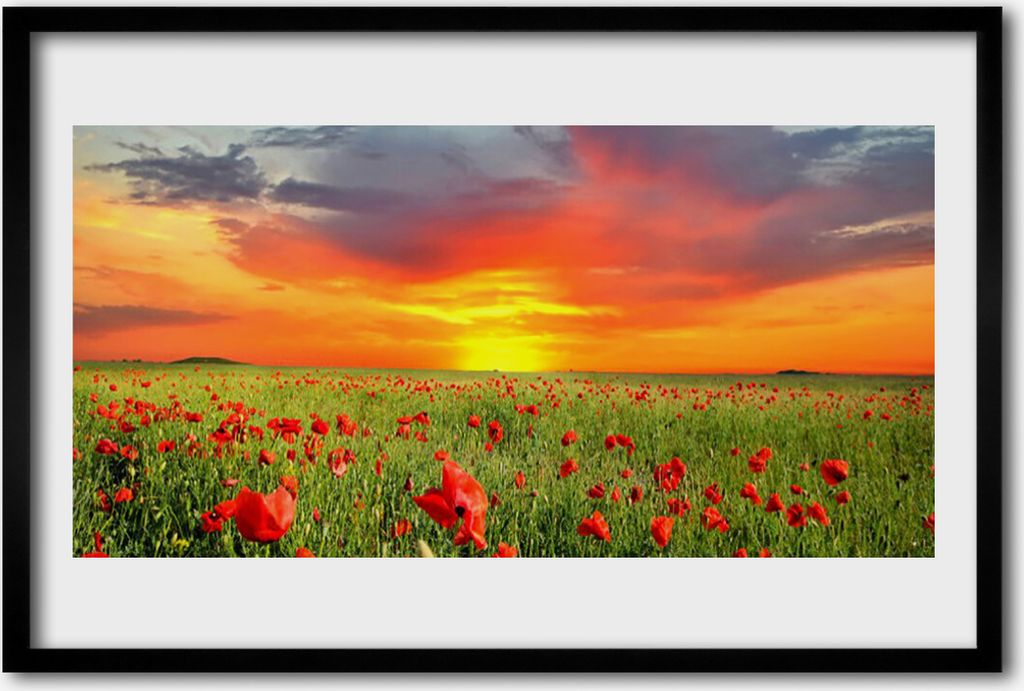Bild 60x40 MDF-Rahmen Wandkunst Mohn Natur Pflanze Sonne