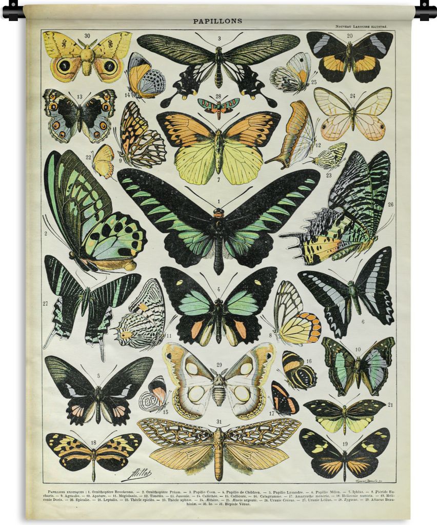 MuchoWow Wandteppich Wandbehang Schmetterling - Tiere - Vintage 90x120 cm Tapisserie Dekoration Wandtuch - Wanddeko