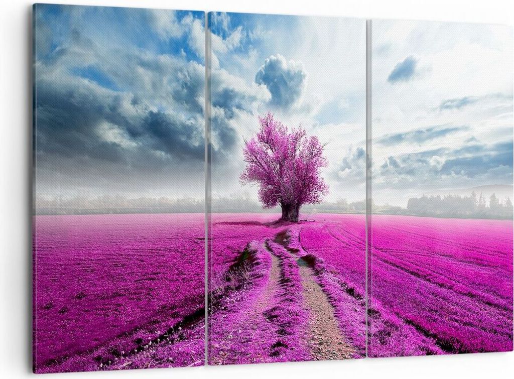 Bild auf Leinwand - Leinwandbild - Heidefeld Baum Wolken Produktbild 