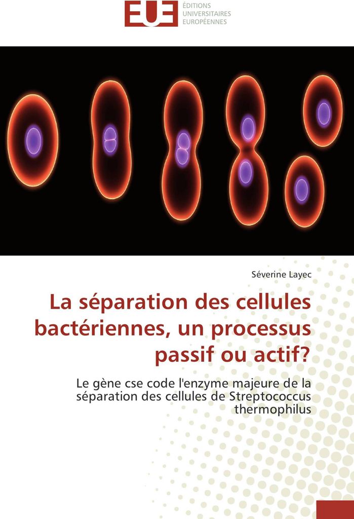 La séparation des cellules bactériennes, un processus passif ou actif?