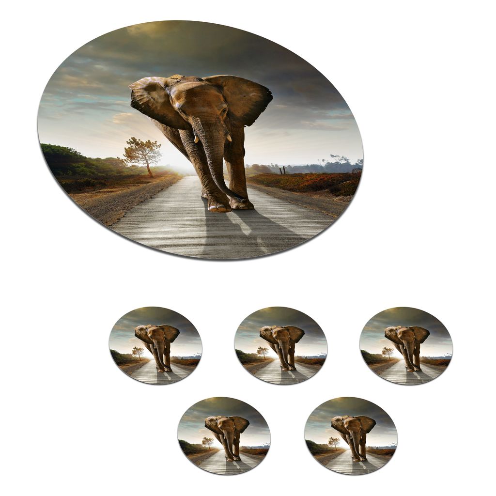KitchenYeah Glasuntersetzer Rund 6er Set Elefant - Straße - Tiere - Sonnenuntergang - Landschaft 10x10 cm Untersetzer für Gläser - Getränkeu...