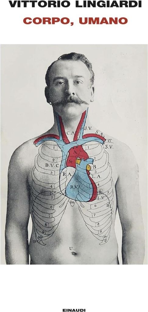 Corpo, umano