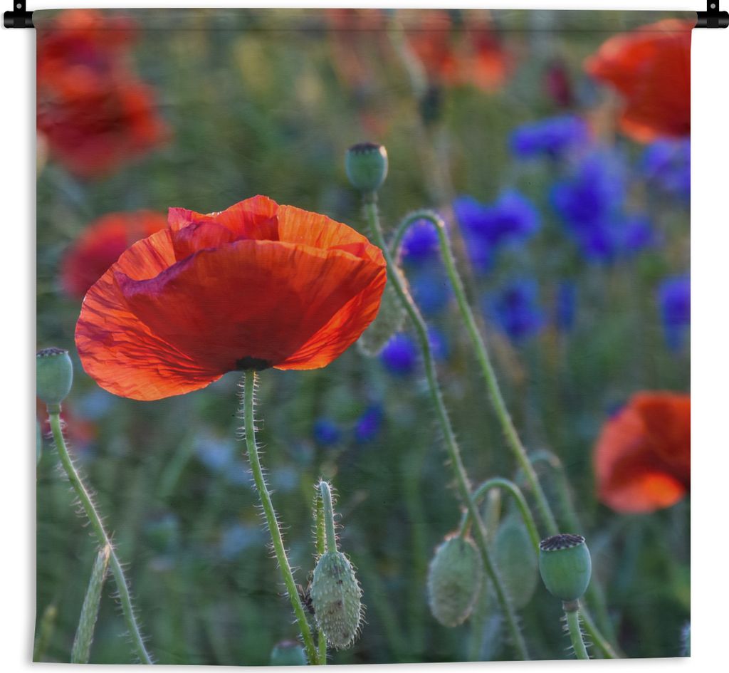 MuchoWow® Wandteppich Wandbehang Bunte Mohnblumen in den Produktbild 
