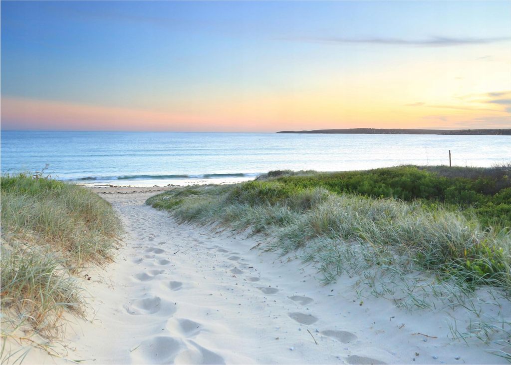 Fototapete Strand Meer Nordsee Natur 3D Effekt Dünen 350x250 cm - inkl. Kleister - für Wohnzimmer Schlafzimmer Flur Modern Vlies Tapete Vliestape...
