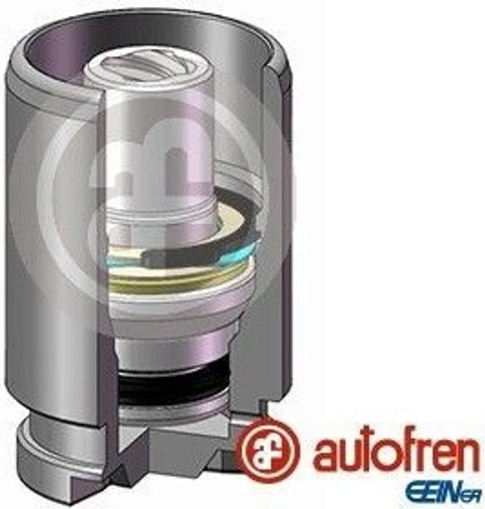 AUTOFREN SEINSA Bremssattel-Kolben für NISSAN MICRA II (K11) 30mm