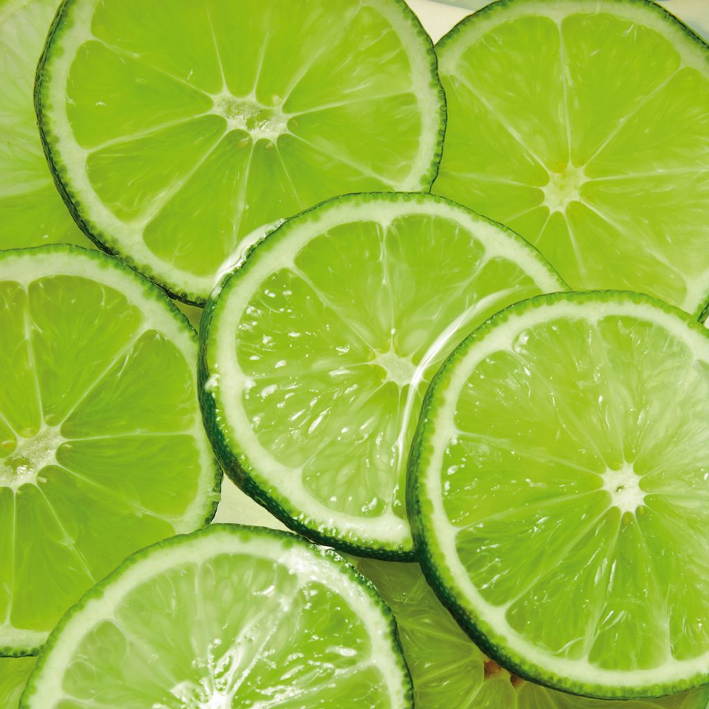 Kochkunst Kunstdruck Bild - Limonen, Limetten (40 x 40 cm)