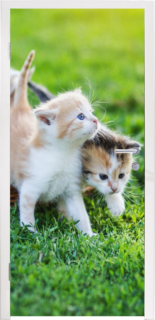 MuchoWow Türtapete Selbstklebende Türfolie Kätzchen - Katze - Korb - Mädchen - Kinder - Jungen - Kinder 90x205 cm Türposter Türaufkleber Kl...