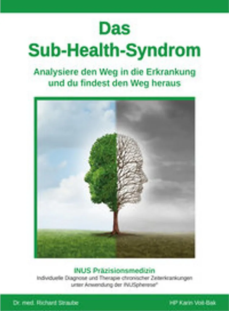 Das Sub-Health-Syndrom : Analyse Scientifique de la Fatigue Moderne