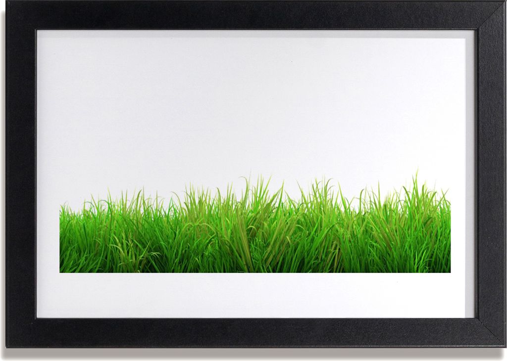 Bild 30x20 MDF-Rahmen Wandkunst Gras Natur Pflanze