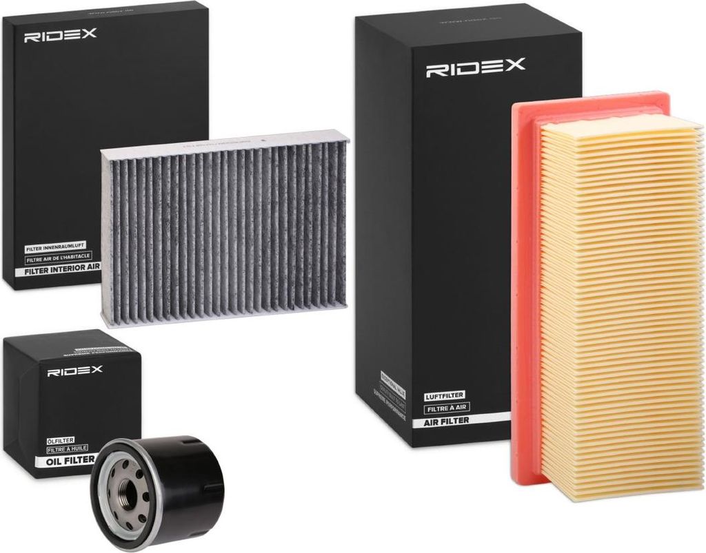 RIDEX Filterset Inspektionspaket Filtersatz für BMW X3 (F25) für RENAULT CLIO II (BB0/1/2, CB0/1/2) KANGOO (KC0/1) KANGOO Express (FC0/1) Thalia I