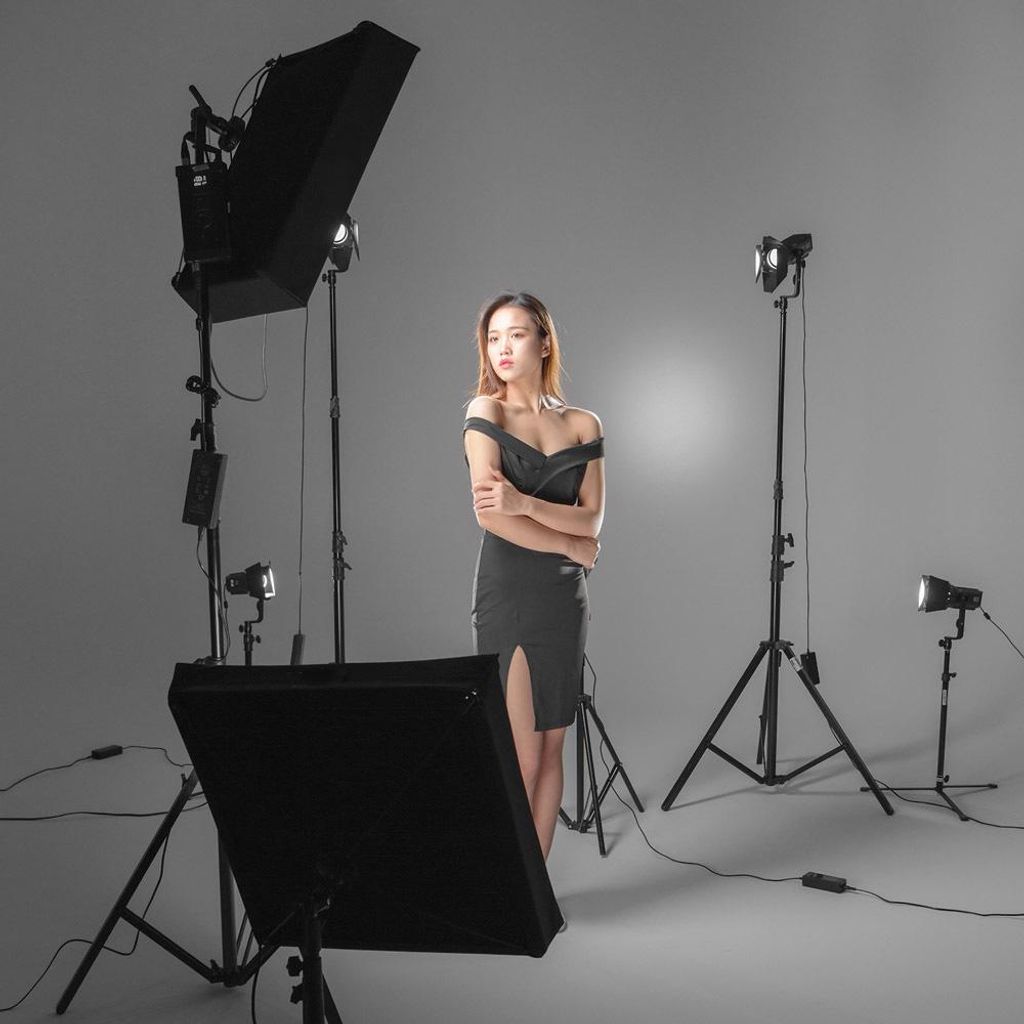 FL-SF6060 Softbox-Kit mit Wabengitter, weiche Stofftragetasche für FL150S, flexibles LED-Licht, Roll-Flex, Foto- und Videoaufnahme, Porträt- und ...