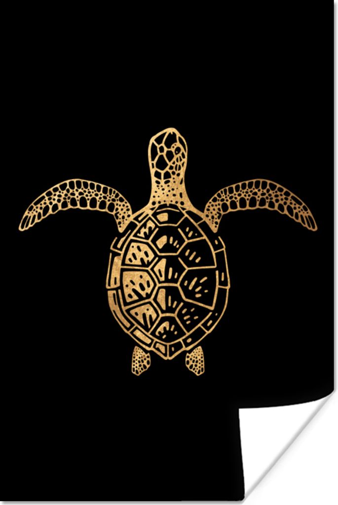 MuchoWow Poster Schildkröte - Tier - Design 60x90 cm - Wanddekoration