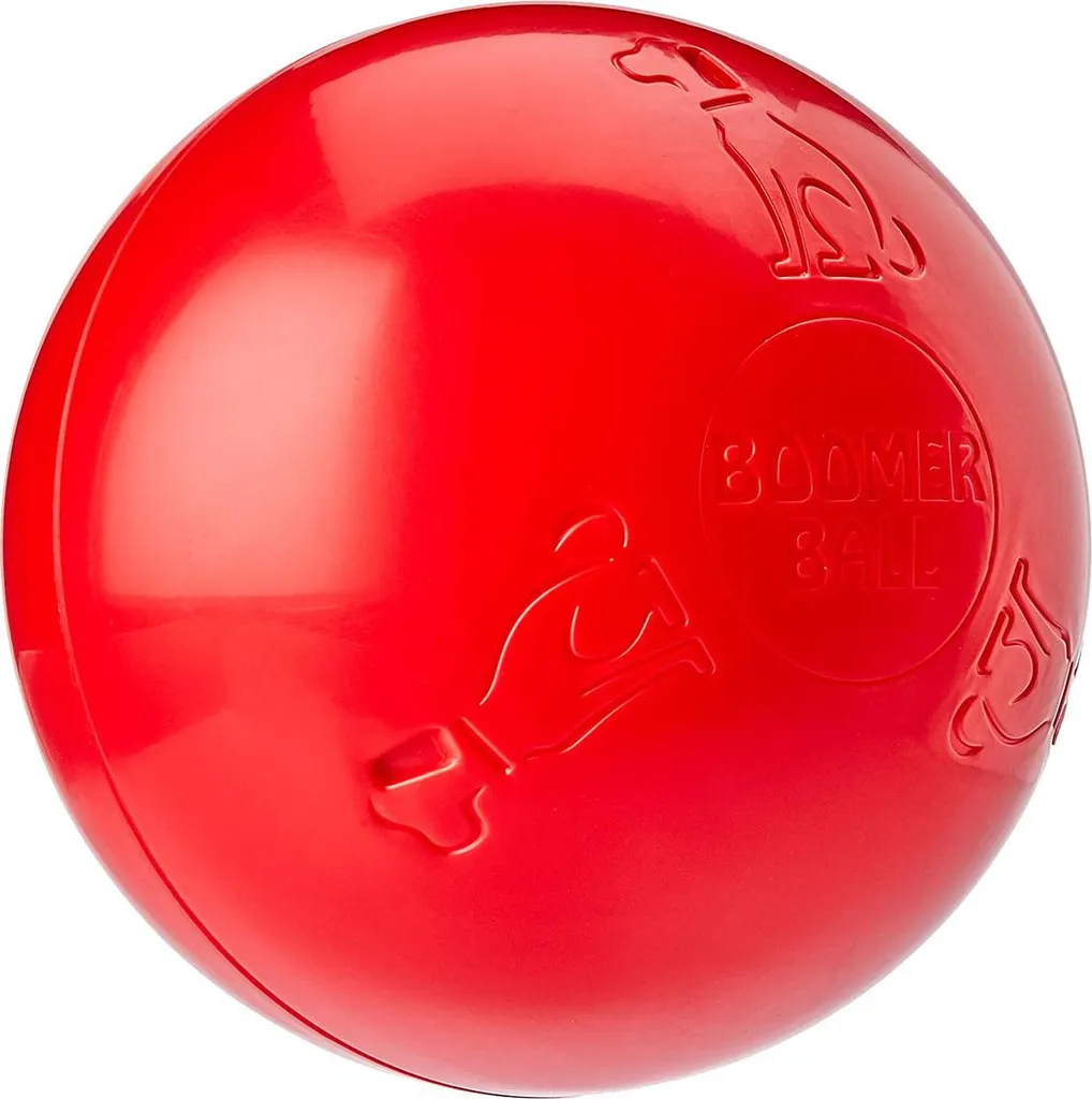 Recensione Boomer Ball 250mm: Vale davvero la pena per cani grandi?