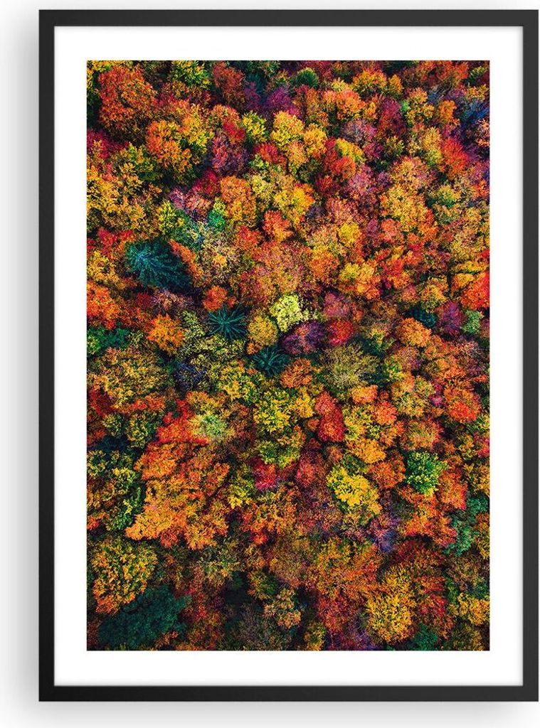 Gerahmtes Poster - Schwarzer Rahmen - Herbst Perspektive Vogel - 50x70 cm - Wand Bild - Wanddeko - Wandbilder - Kunstposter - Wandposter - Bilderra...
