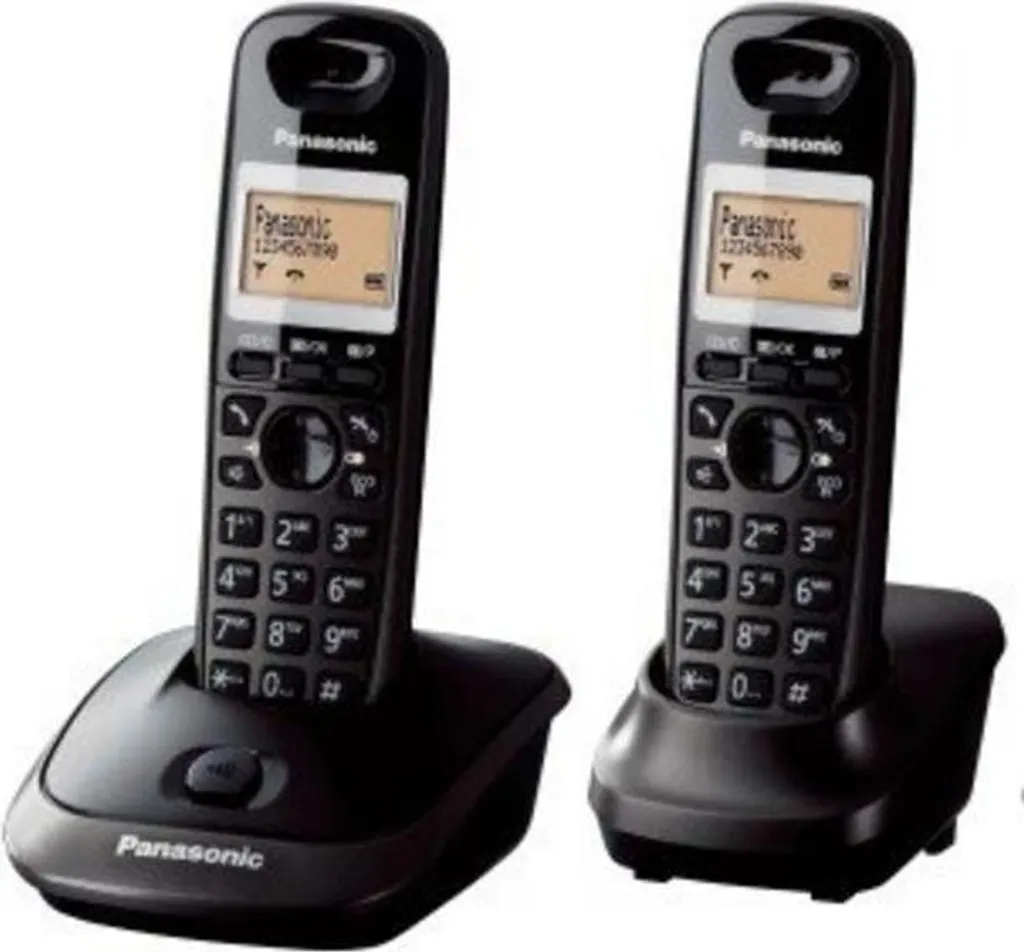 Panasonic KX-TG2512 Duo Gris : Téléphone Fixe Anti-Interférences avec Mode Éco