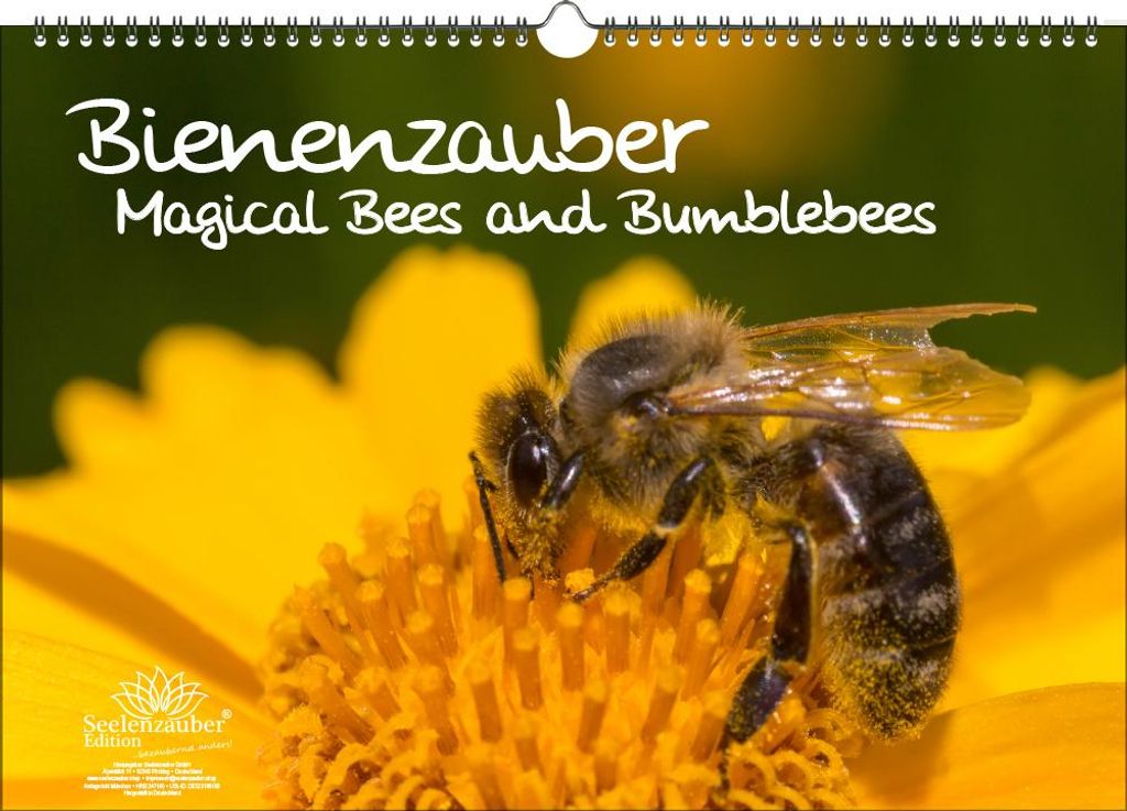 Tierzauber Bienen und Hummeln DIN A3 Immerwährender Produktbild 