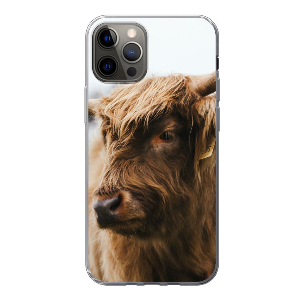 MuchoWow Handyhülle Schutzhülle Hülle für iPhone 13 Pro Schottischer Highlander - Tiere - Hörner Silikon Softcase Handy Hülle - Handy-Tasche