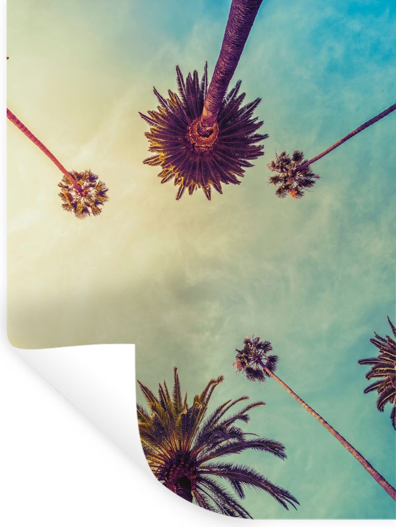 MuchoWow Wandtattoo Wandsticker Wandaufkleber Palme - Himmel - Bäume - Sommer - Tropisch 30x40 cm Selbstklebend und Repositionierbar - Sticker -...