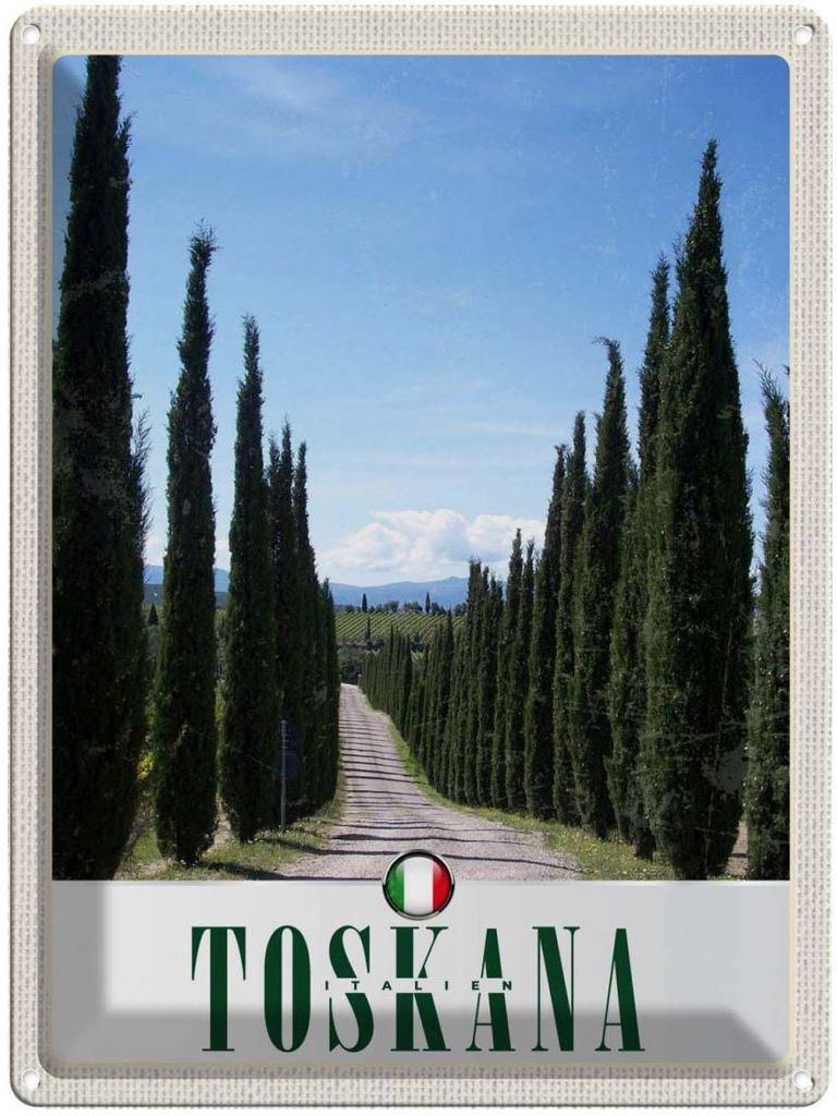 vianmo Blechschild 40x30 cm Toskana Italien Urlaub Bäume Wiese Natur Bildmotiv Reisemotiv Abenteuer Reisen Europa