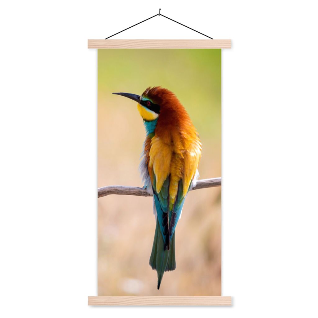 MuchoWow Textilposter Vögel - Bienenfresser - Tiere 40x80 cm mit holzfarbenen Rahmen - Wohnzimmer