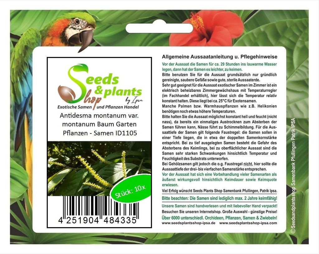 10x Antidesma montanum var. montanum Baum Garten Pflanzen - Samen ID1105