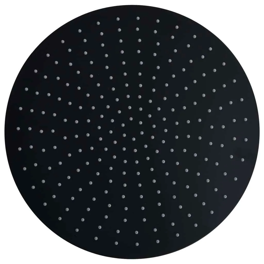Soffione Doccia vidaXL 40cm Acciaio Inox Nero - Offerta Imperdibile - 1