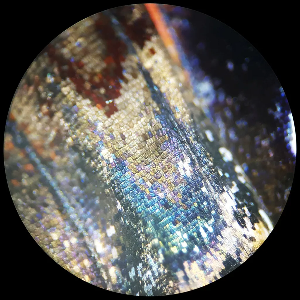 Stéréomicroscope LED Analyth STR BRESSER avec Éclairage Transmis - 10