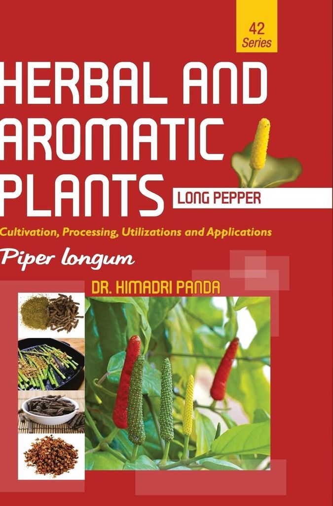 HERBAL AND AROMATIC PLANTS - 42. Piper longum (Long pepper)