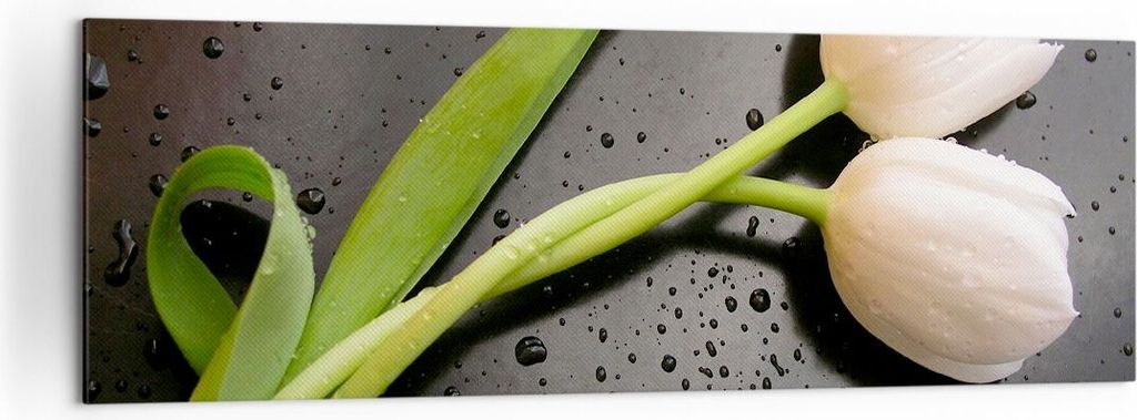 Bild auf Leinwand - Leinwandbild - Tulpen Blume Pflanzung Pflanze - 160x50cm - Wand Bild - Wanddeko - Leinwanddruck - Bilder - Kunstdruck - Wanddek...