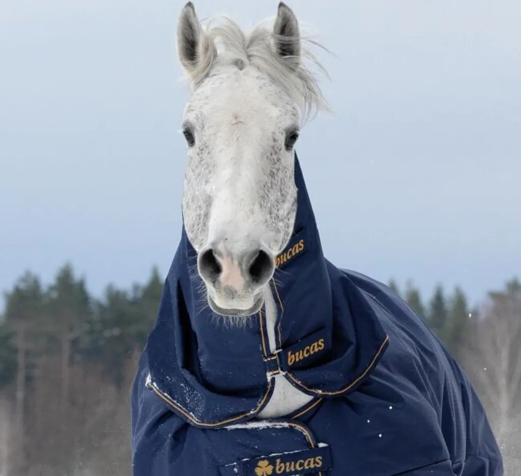 Bucas Irish Combi Neck 0g per Coperta Cavallo | Blu e Oro Elegante
