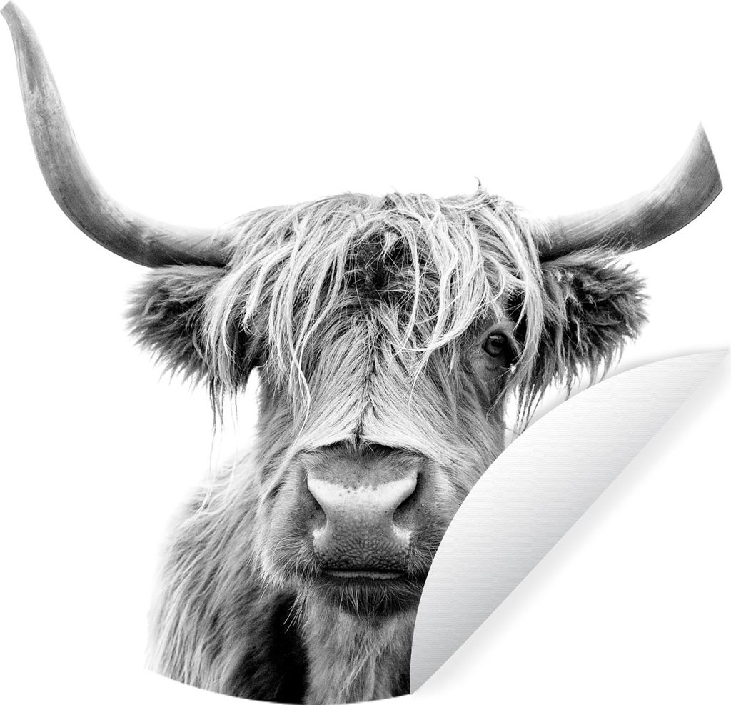 MuchoWow Runde Wandtattoo - Wandsticker Tapete Aufkleber Schottischer Highlander - Schwarz - Weiß - Tiere Ø 100 cm Selbstklebend und Reposition...