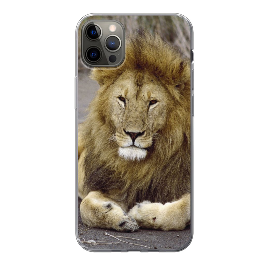 MuchoWow Handyhülle Schutzhülle Hülle für iPhone 13 Pro Max Löwe - Afrika - Tier Silikon Softcase Handy Hülle - Mobiltelefon