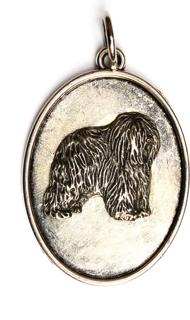 Collier Berger Polonais des Plaines - Bijou Durable pour Propriétaire