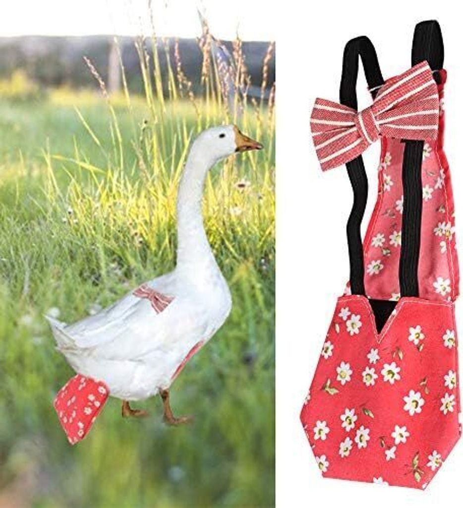 Hühnerwindel Verstellbare Haustierwindel Geflügeltuch Haustier Windel Gans Huhn Ente Tauben Einstellbare Geflügel für Gänseenten Henne Huhn(M-...