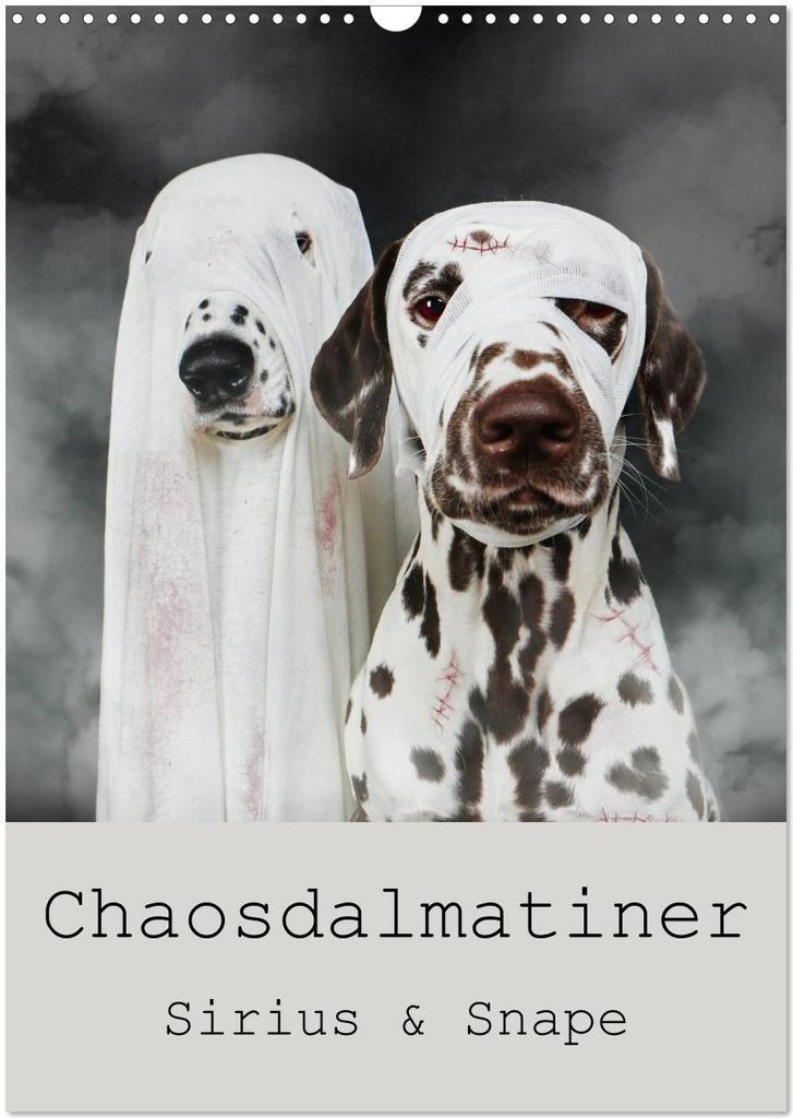 Chaosdalmatiner Sirius und Snape (Wandkalender 2026 DIN A3 hoch), CALVENDO Monatskalender