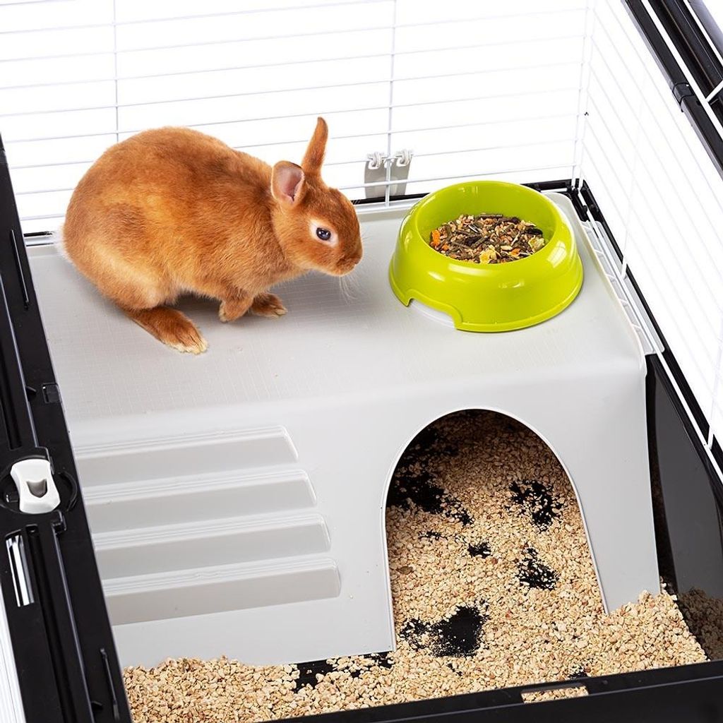 A rabbit in a cage with a food bowl and a house.