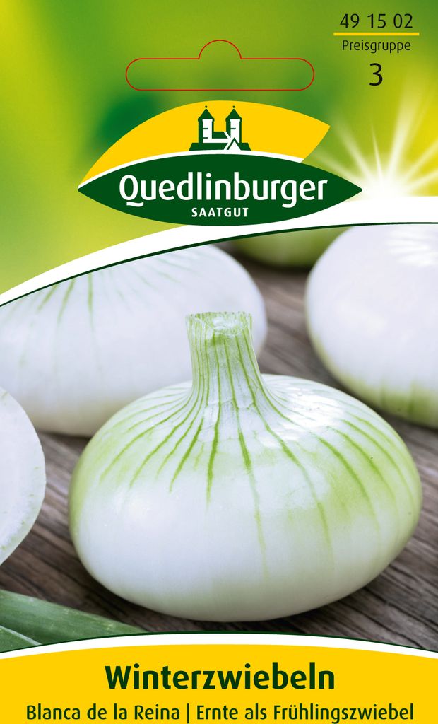 Winterzwiebel, Blanca de la Reina Produktbild 