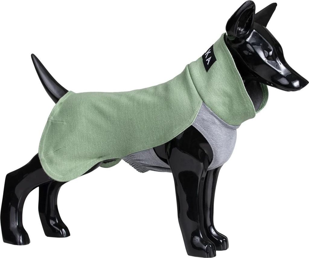 PAIKKA Hunde Pullover wärmend "Recovery Winter Shirt" grün