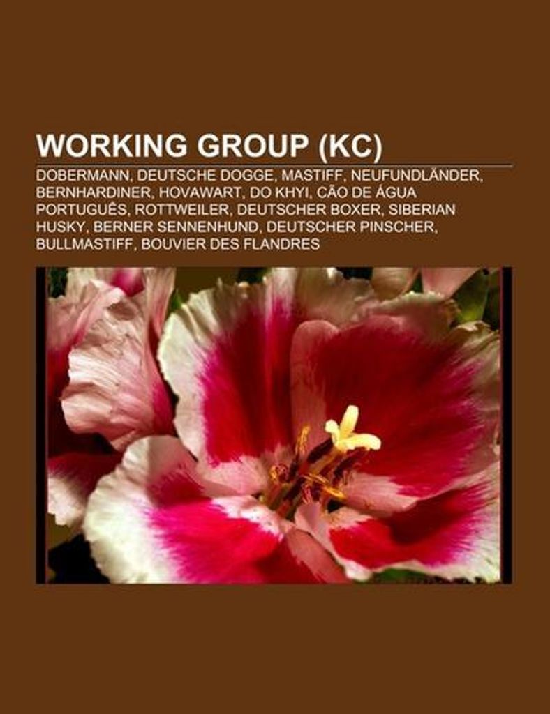Working Group (KC)