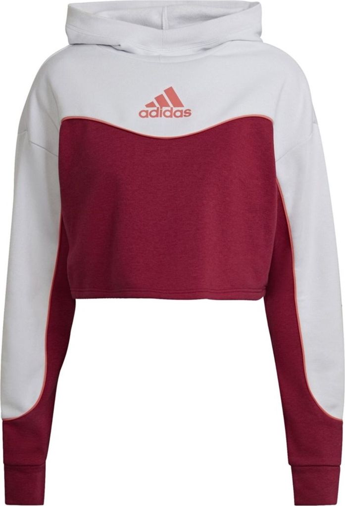 Sweatshirts Adidas Hanorac HD6769